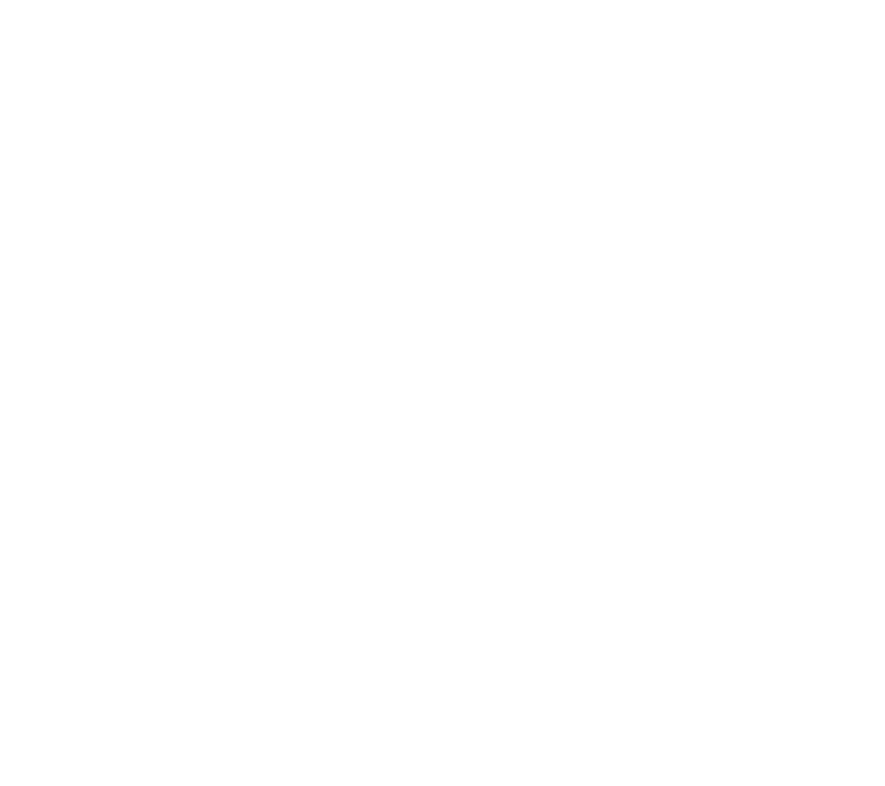 SportconnexionBlanc